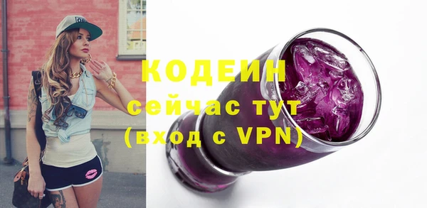дмт Абаза