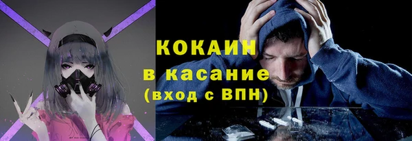 гашик Алексеевка