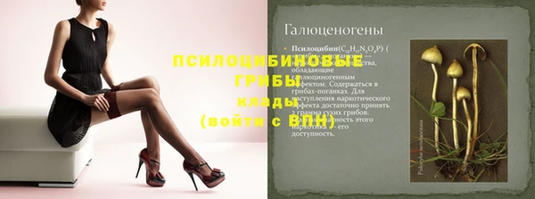 дмт Абаза
