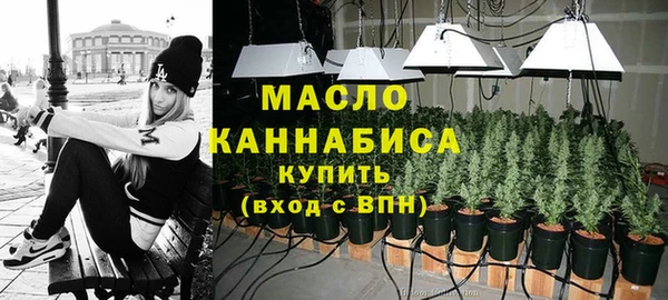 дмт Абаза