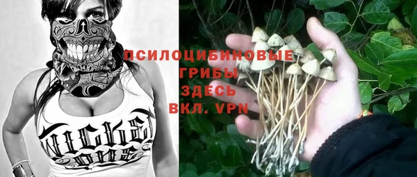 гашик Алексеевка